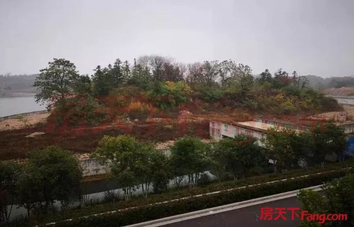 「房天下」衢江區後溪鎮庭前村3宗住宅,商業用地將拍賣出讓