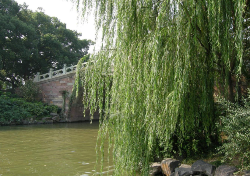 话说我出了杭州火车站,随着多年的学生驾车在南方这座城市穿行就来到