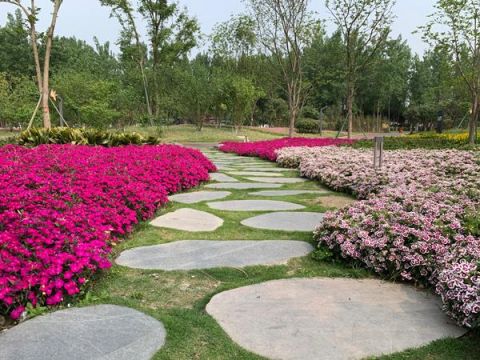 市民休闲新去处!成都市府河摄影公园今日开园