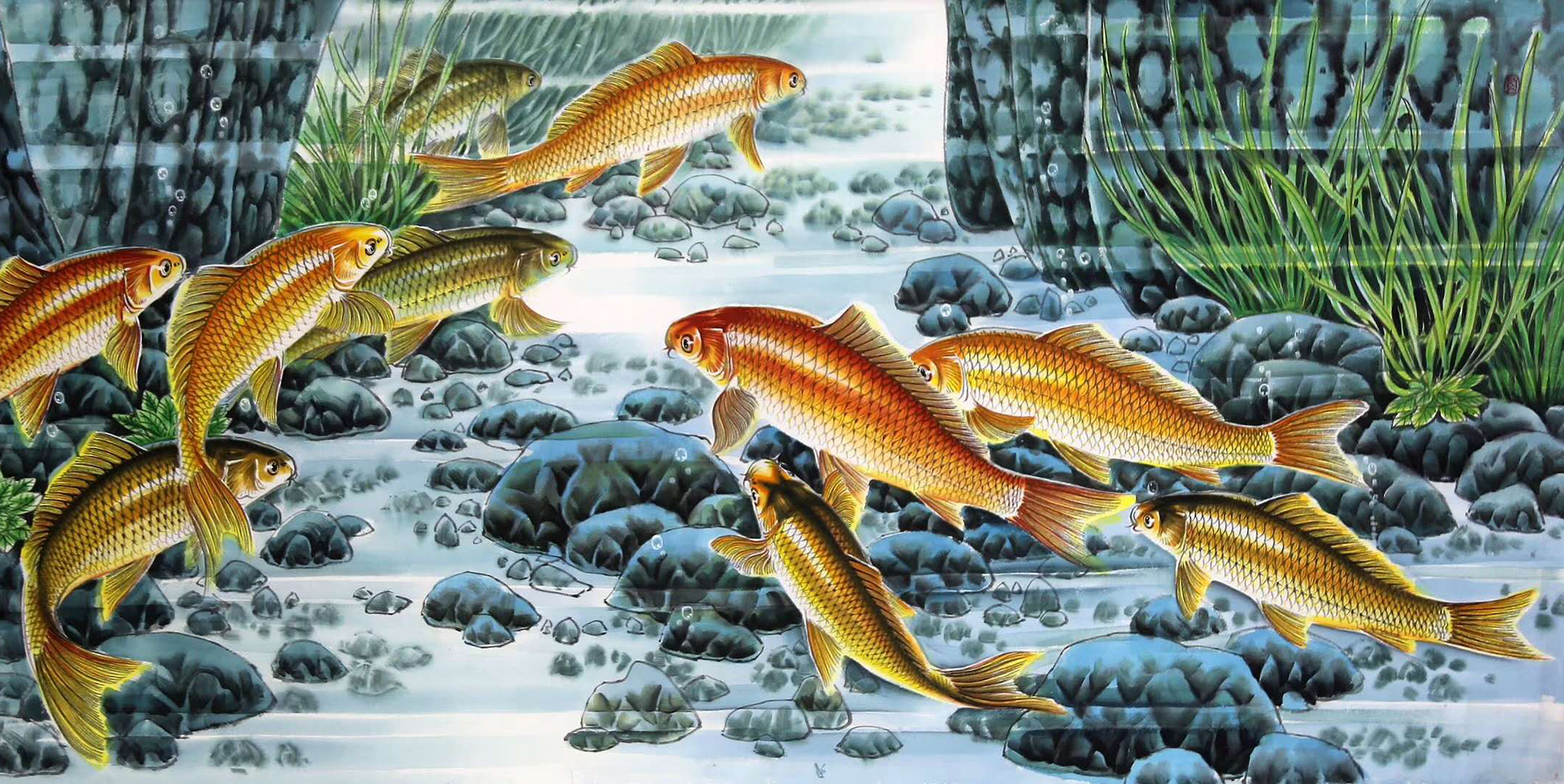 工笔重彩画,鱼戏莲叶间