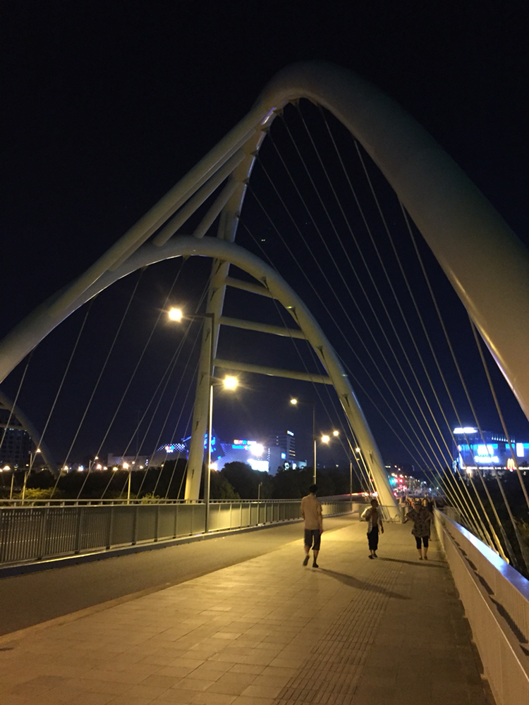 青浦西大盈港双桥夜景