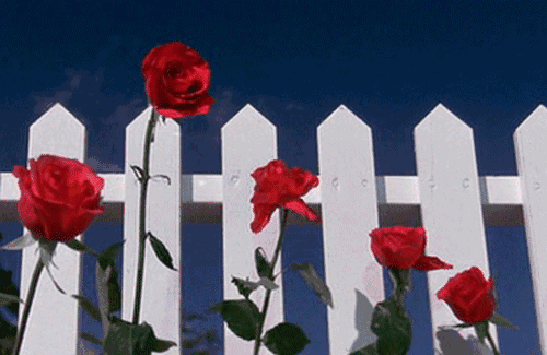 500_325gif 动态图 动图