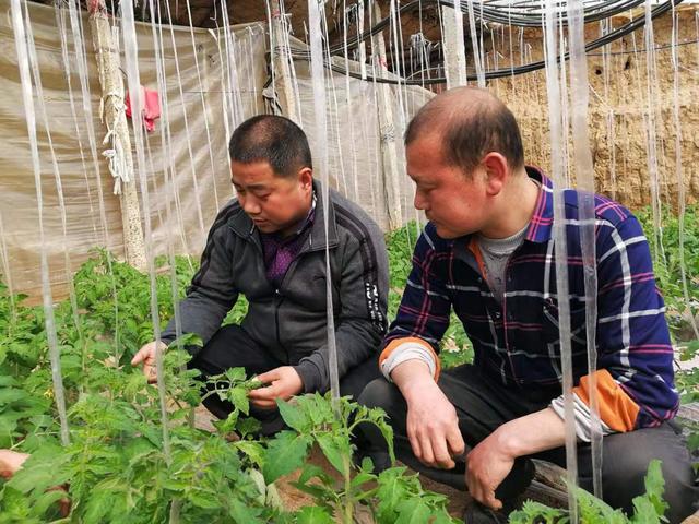 吉根林:扎根基层的乡土专家