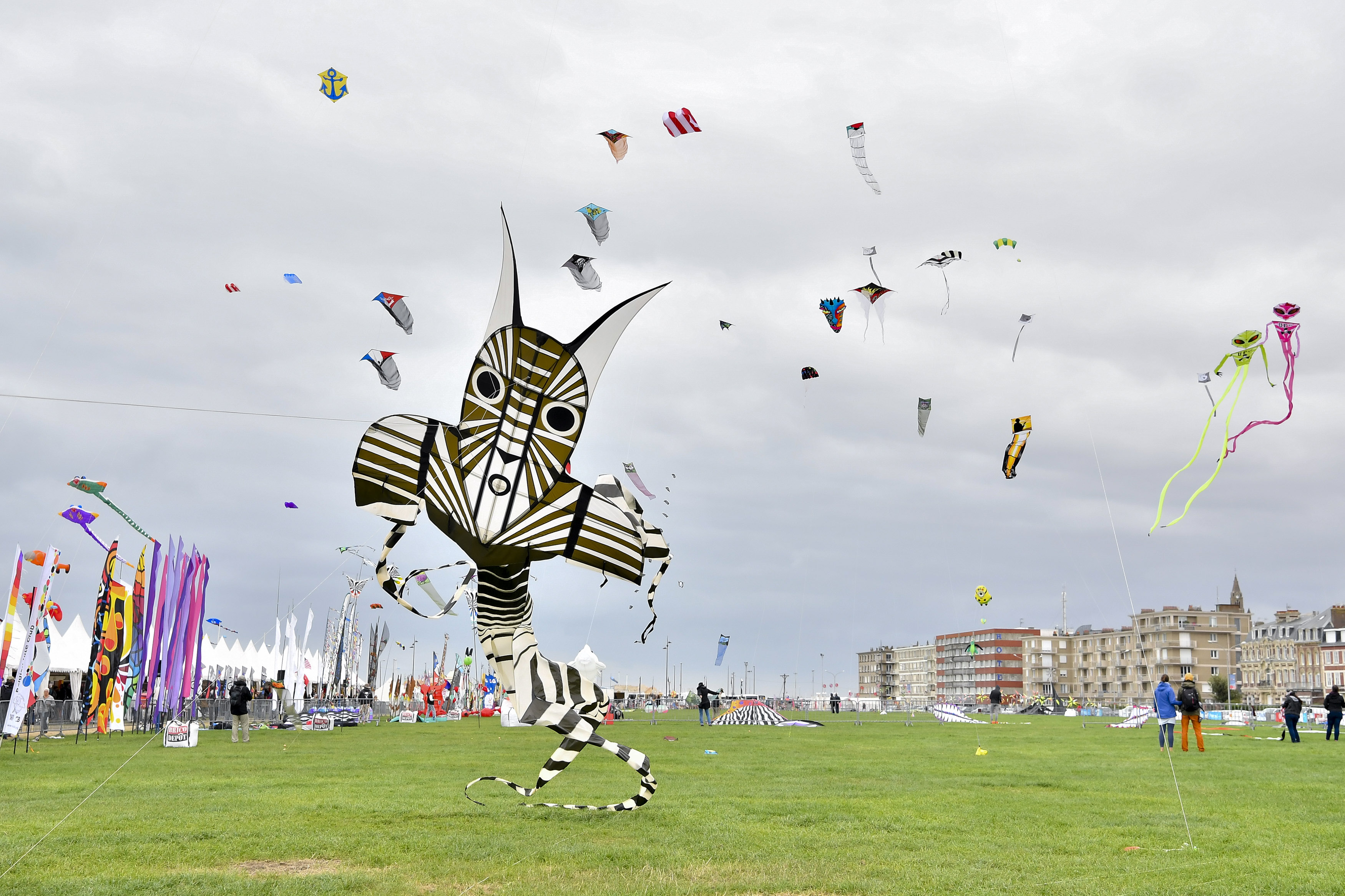 法国举行迪耶普风筝节(3)