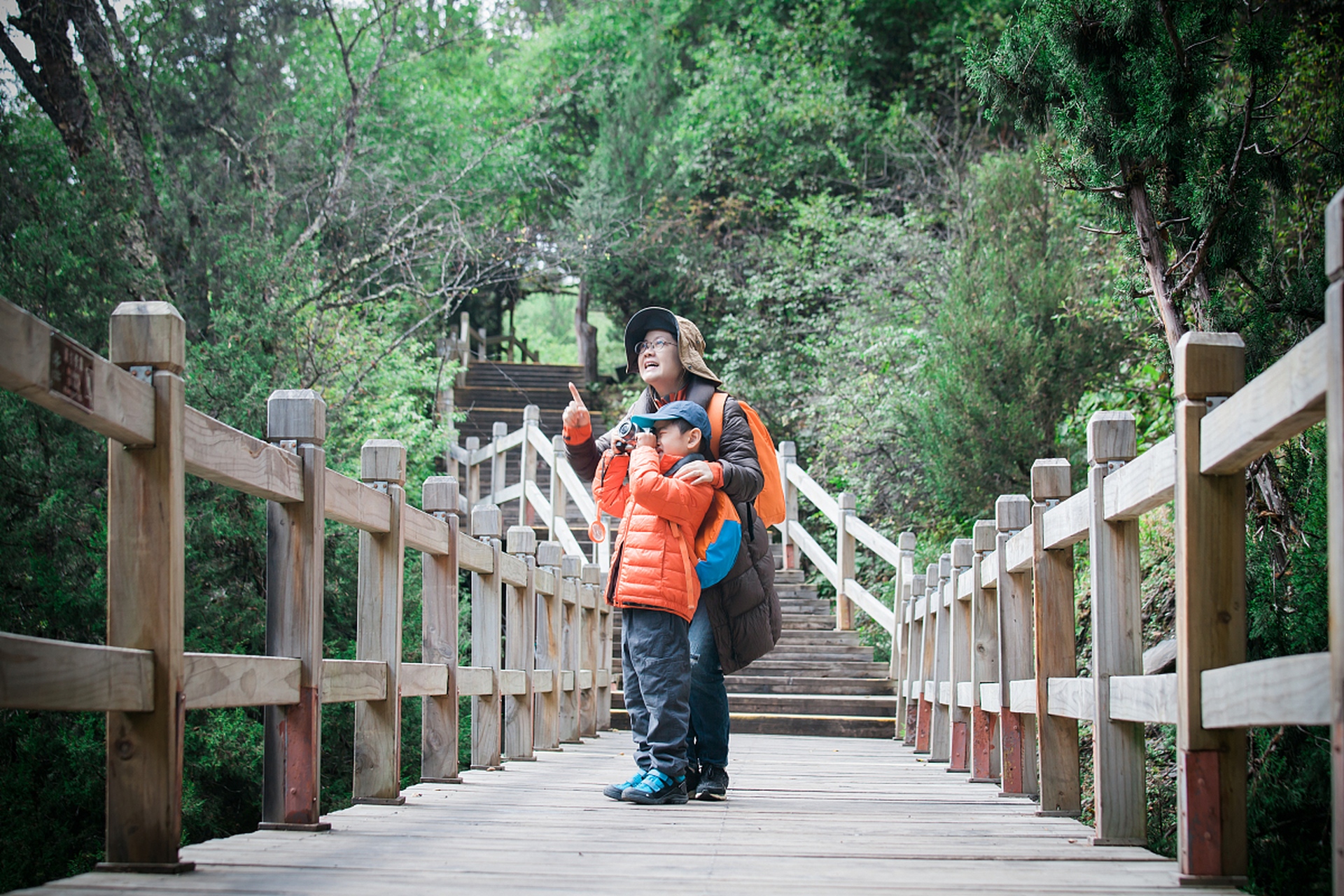 南岳山森林公园图片