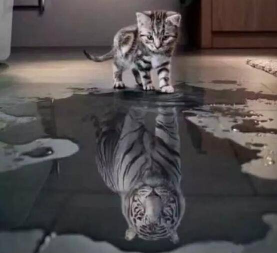 情感|为什么周围的人都把我当空气,喜欢被聚焦有错吗?