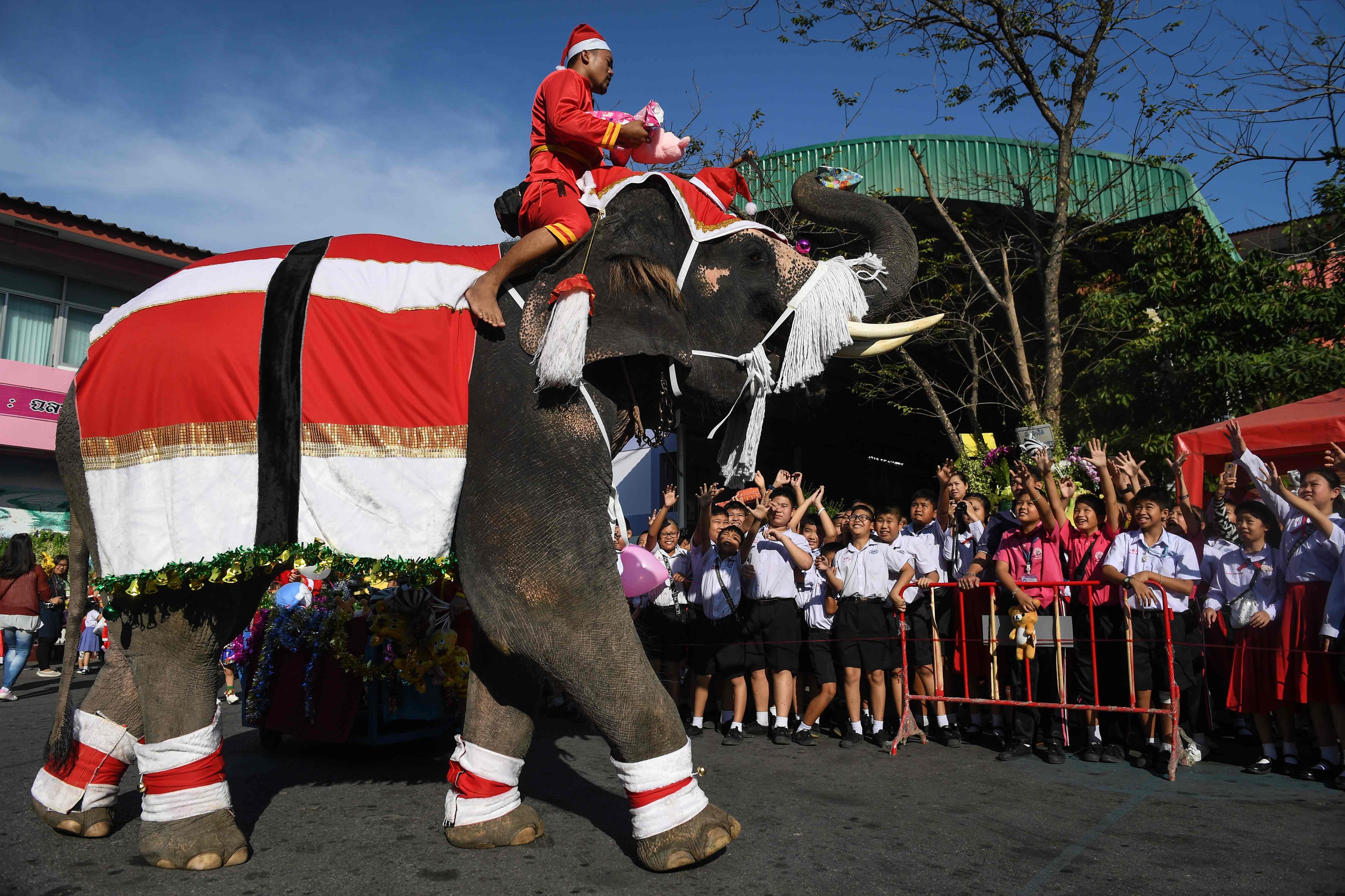 (13)泰国大象迎圣诞
