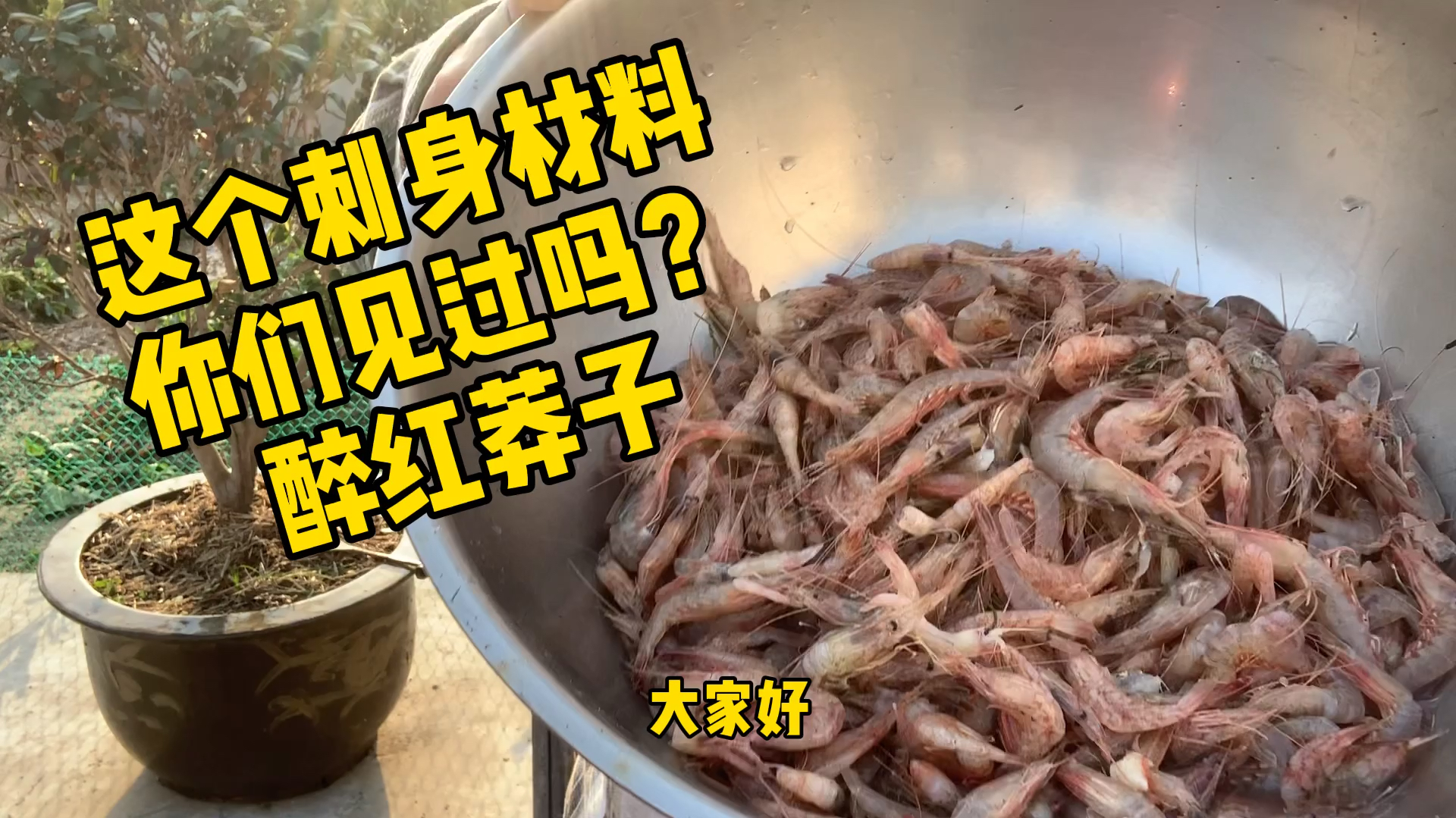 这菜我保证看了谁都会做酸菜黄鱼,这个季节该有的味道,您怎么看