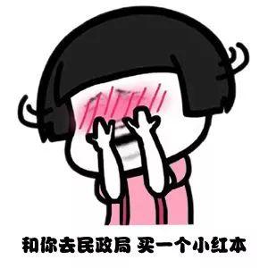 表情包:搞怪撩妹表情包,想和你去民政局买一个小红本!