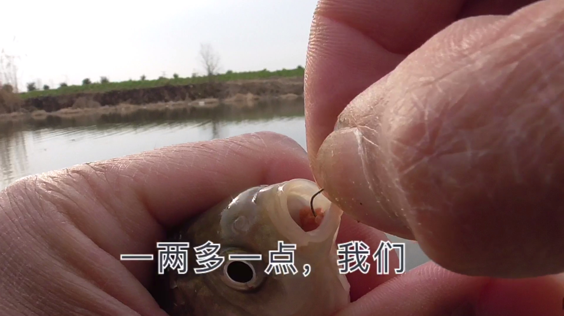 野钓:天冷用小漂细线小钩,鱼钩一般几号合适呢?理论与实践为证