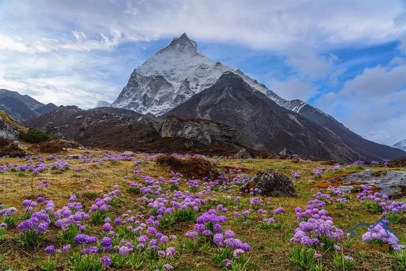 绒辖沟的景色,不来了解一下?相信你会喜欢这里的!