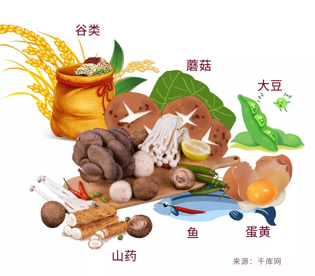 卵磷脂——记忆力的好帮手