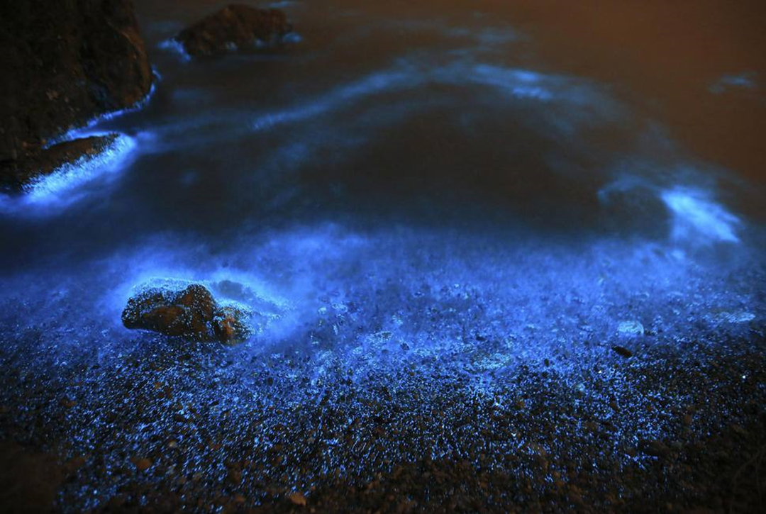 这种海滩很美,沙滩会呈现蓝色荧光,但专家却说这不是一个好现象