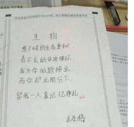 小学生个个都是人才