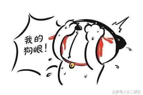 天蚕土豆,你个大骗子,武动乾坤和斗破苍穹原来是一本书