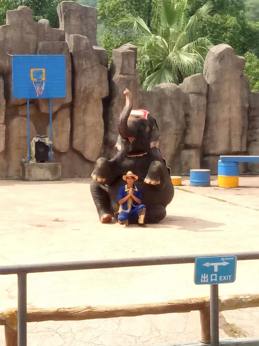 如何理解施恩图报非君子