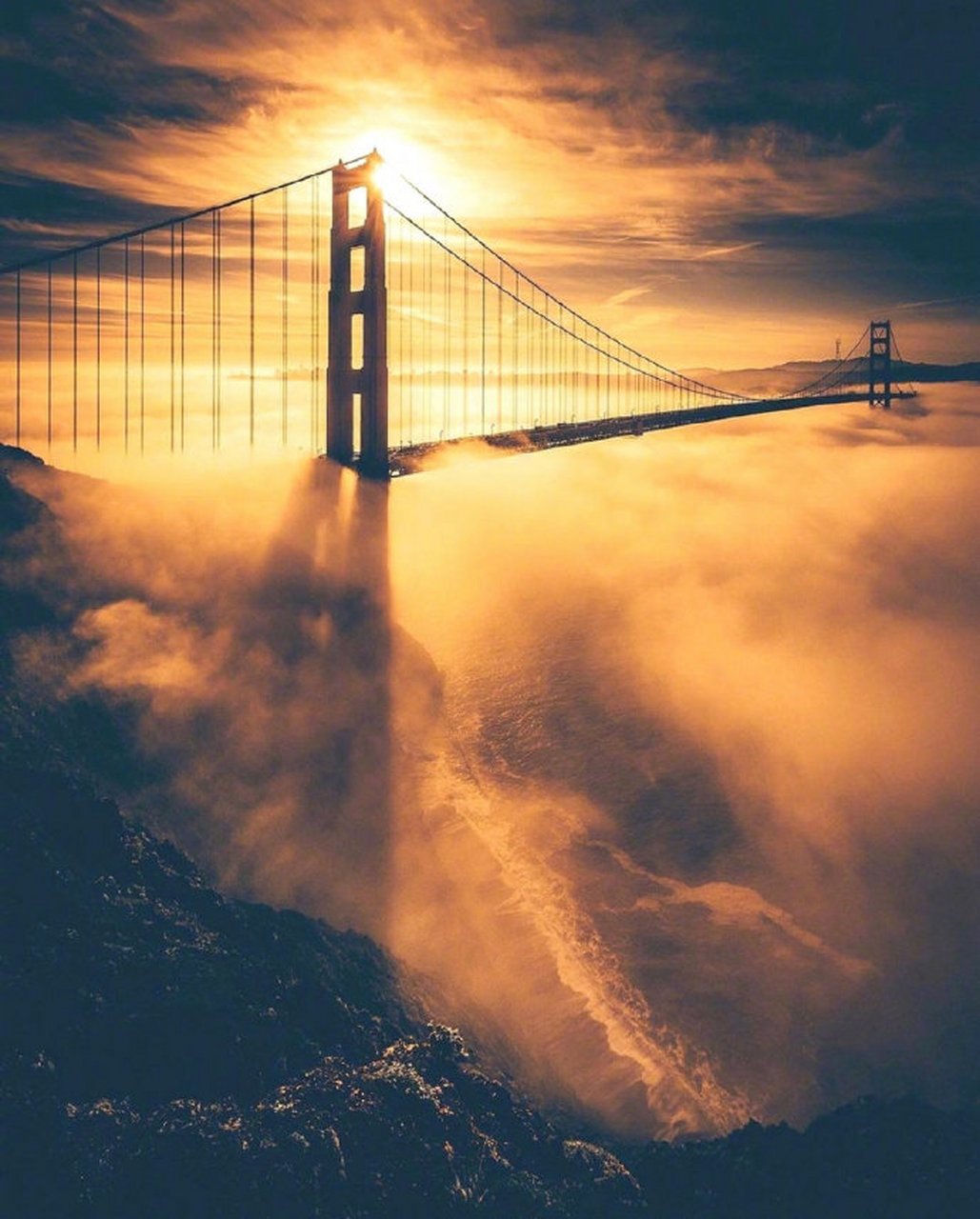 遇见美好# #遇见好风景#californiadream 在午后与你相遇