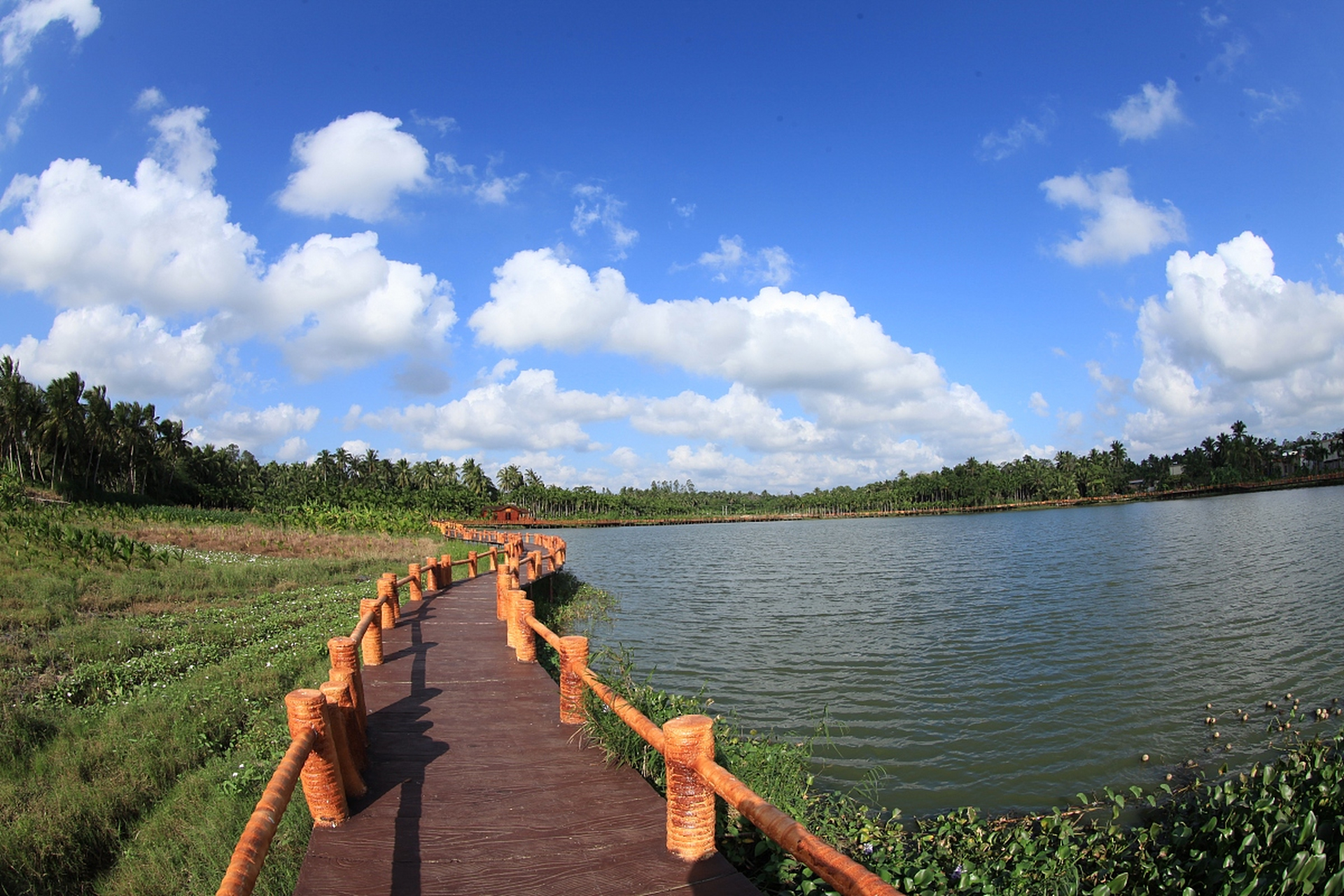 镜头里的春天# 春季旅游金海湾红树林景区,宛如一幅动人的画卷,静谧