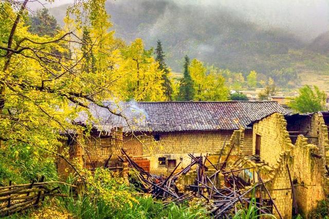 广东最美省道s244全长300公里 可自驾可骑行