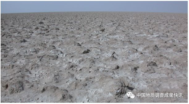 地矿科技丨远大于工业品位,罗布泊新湖区发现高品位富钾卤水