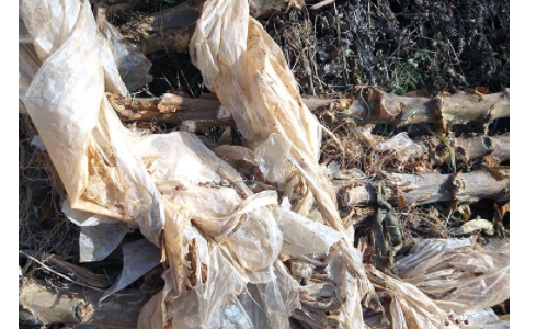 田里的废旧农地膜会对耕地造成污染,农民要费不少力气清除它