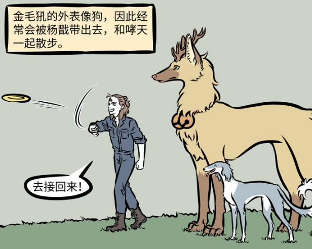 非人哉:小太奇特的绑人爱好,不好了,哮天要被金毛吼吃了