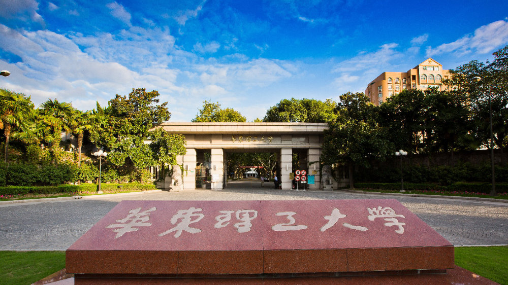 清华教授举报华东理工博导,竟祸及博导恩师;网友:经典"坑师"