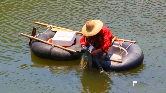 两个汽车内胎捆绑成"橡皮筏子,看水乡渔家女怎样捕鱼