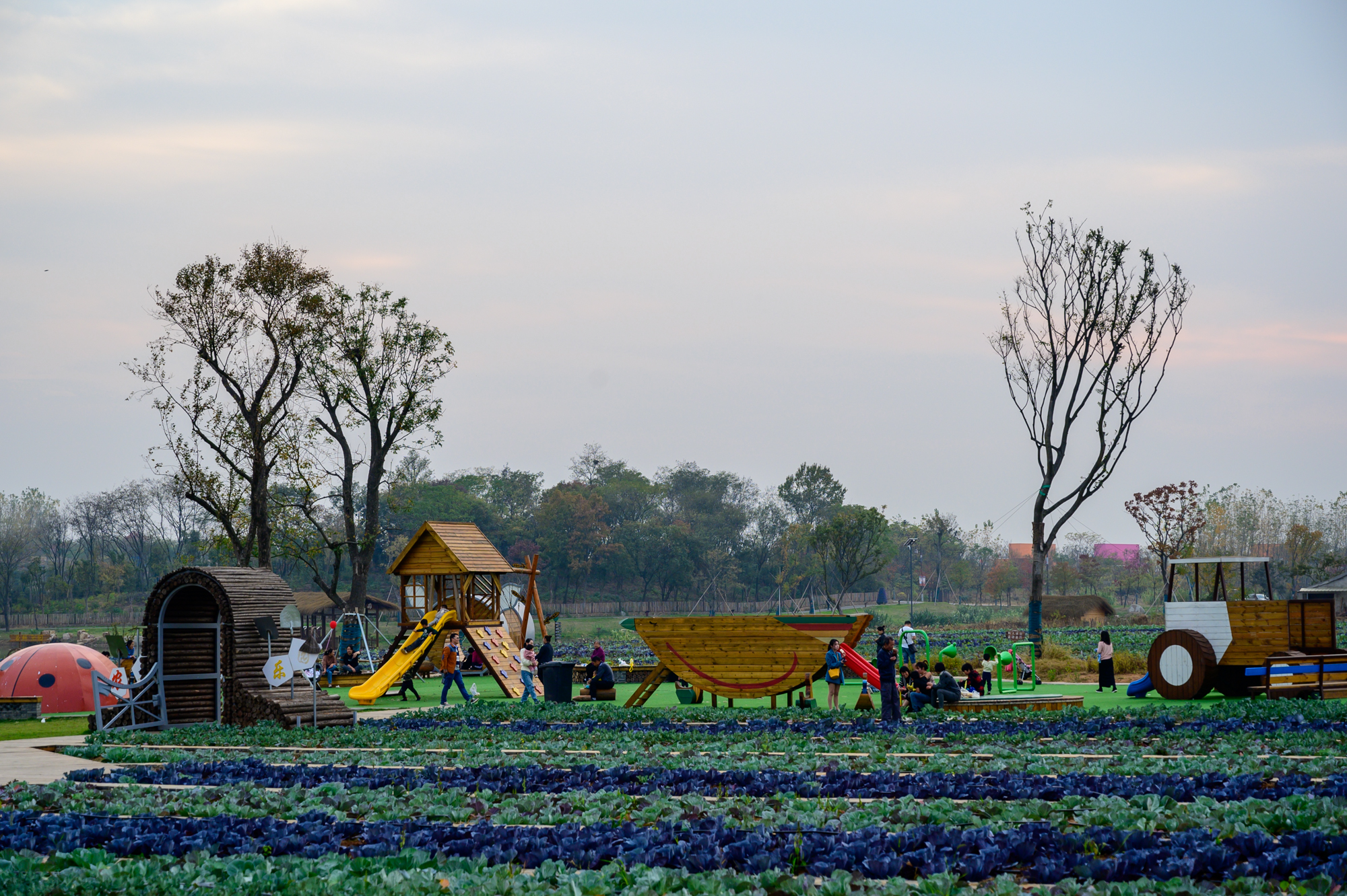 藏在南京的"网红乡村":徐家院,应该是很多人梦里向往的地方