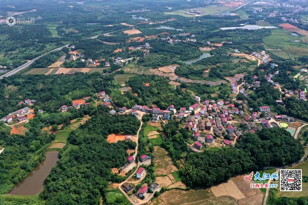 钤山镇金鸡布村入选中国美丽休闲乡村名单!快来打call