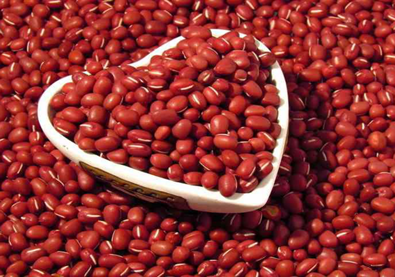 赤豆- 热门商品专区