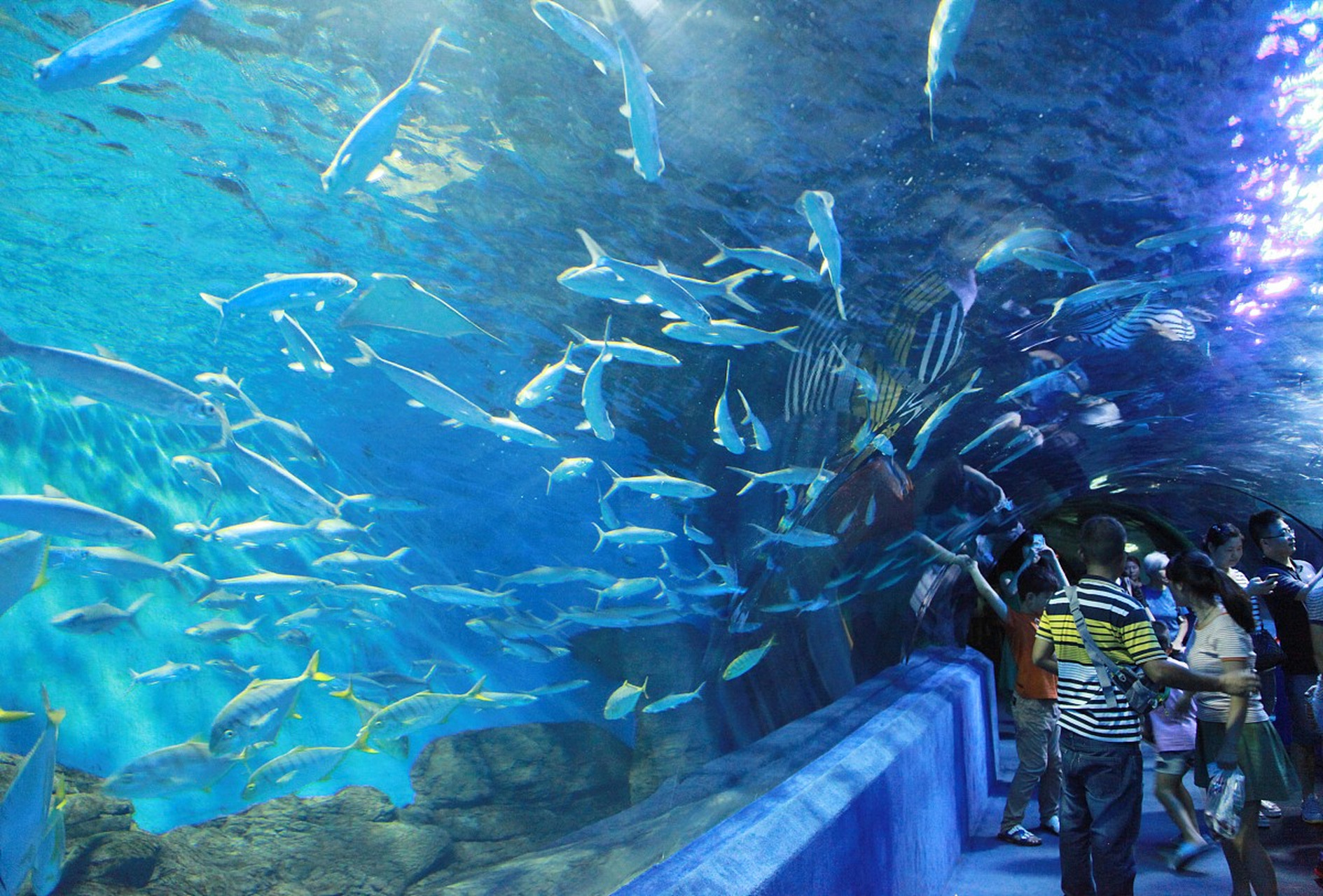 温岭一日游,探寻海滨之城!博物馆,海洋公园等你探秘.