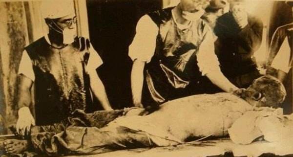 苏联诡异人体实验解密!人和猩猩混种基因变异,实验对象互相残杀