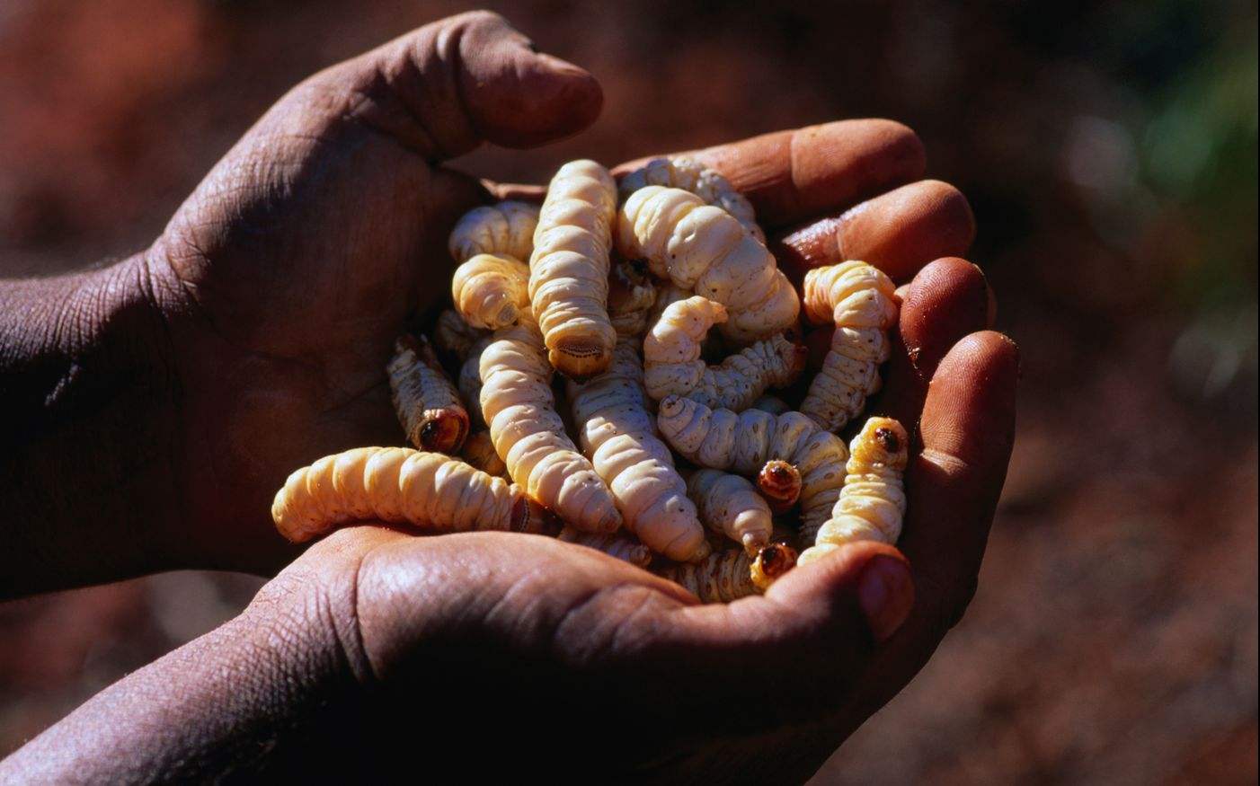 第一,这个类别就是作为我们即使见到了这个食物但是对