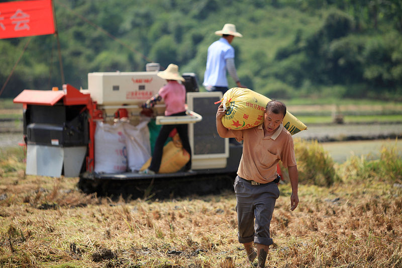 农村年轻人越来越少,未来十年还有人愿意在农村种地吗?