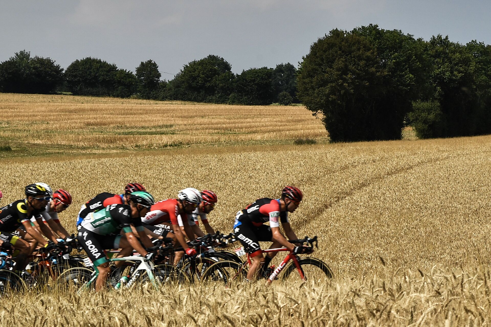 自行车——环法:第七赛段赛况