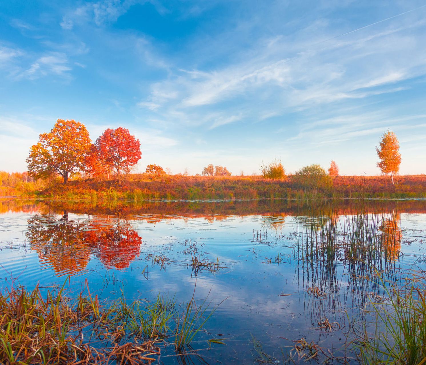 秋日漫步黄河边,感受大自然的魅力和历史的厚重.