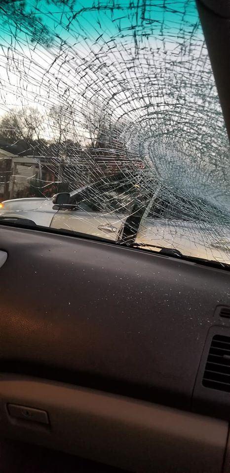 天外飞来"大尾鲶鱼",女子车开到一半,挡风玻璃遭砸碎