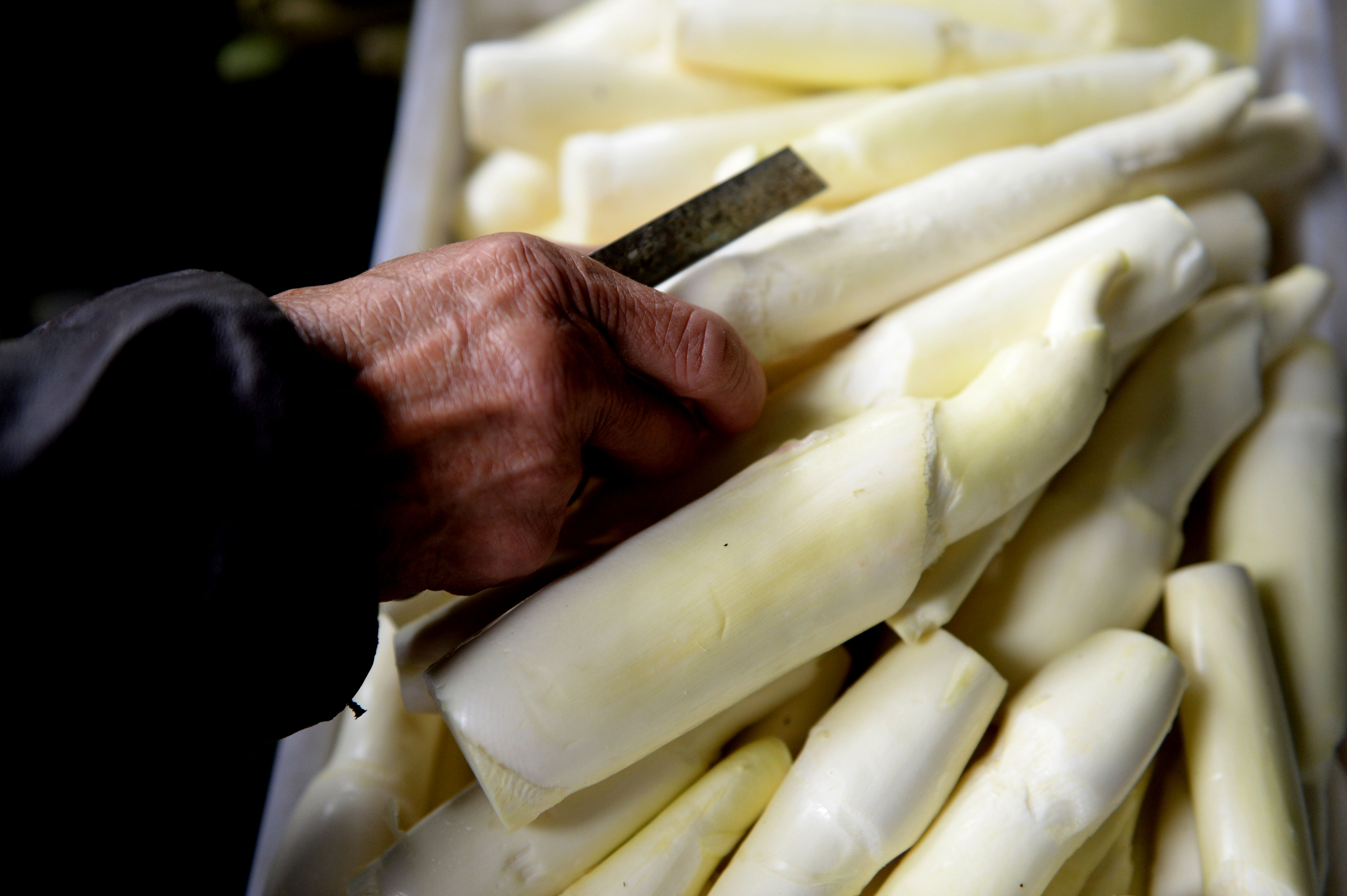 安徽岳西:高山茭白富农家