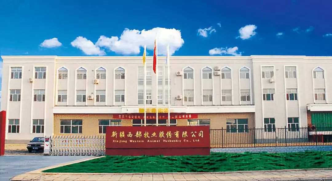 三季度营收利润双降,西部牧业再次陷入业绩困境