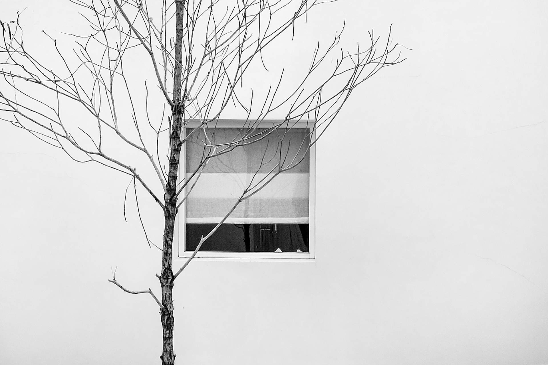 手机摄影:空间留白构图法的核心技巧.