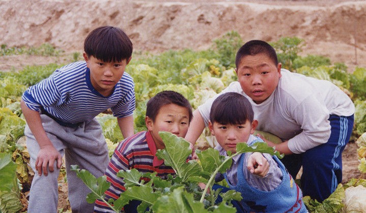 水浒少年妞妞的资料图片