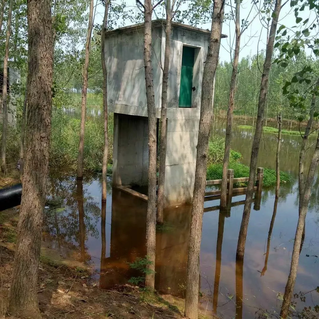 沛县龙固镇邱集村:村民们与时间赛跑,自发救灾,共建家园!