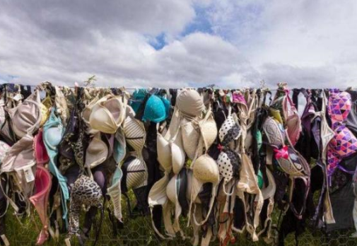 新西兰的"内衣墙",女性到这为何脱掉内衣?男性却强烈要求拆除