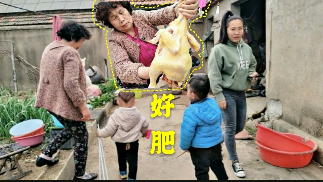 女婿来接孩子,丈母娘把家里唯一的一只下蛋公鸡杀了,真香啊