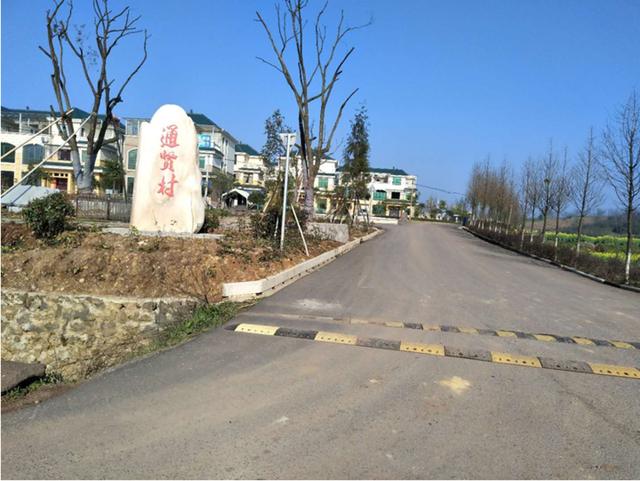 2018,贺村镇通贤村党支部书记毛初生这样承诺
