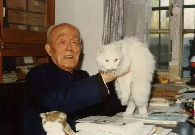 老舍说自己讨厌猫,写作时却把猫放头上,笔下的猫还选入教科书!