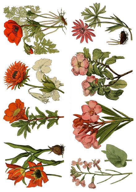 唯美手帐,100多种手帐素材图,值得你收藏!