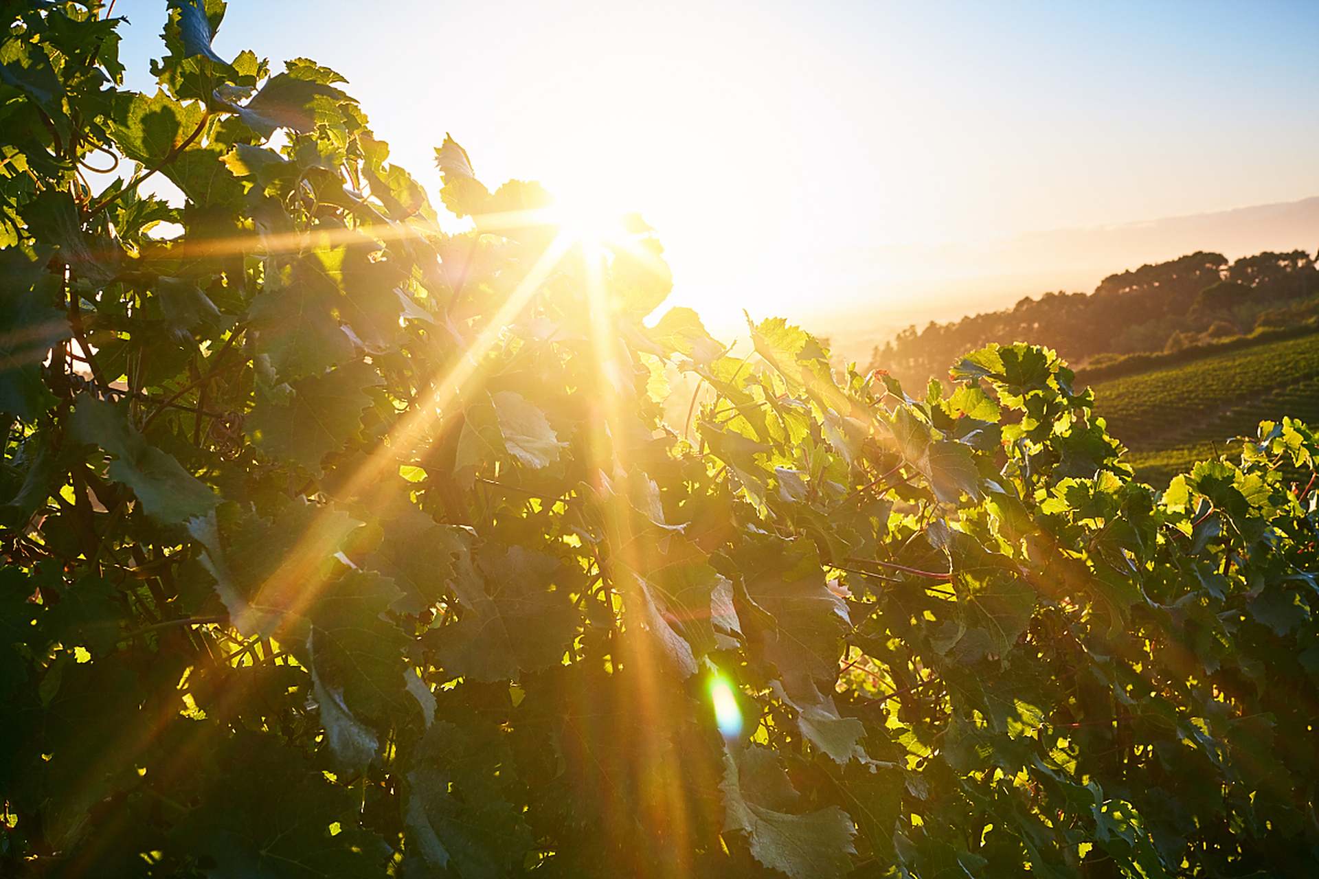阳光透过云层照射在湖面上