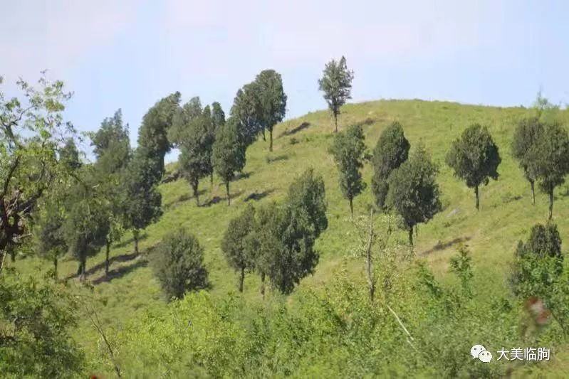 走进临朐县山旺镇尧山村